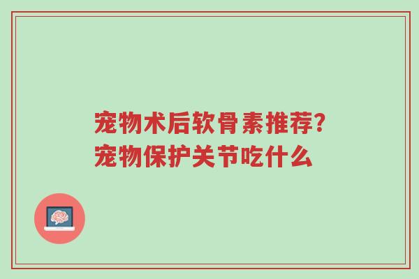 宠物术后软骨素推荐?宠物保护关节吃什么-第1张图片-超越 宠物术后软骨素推荐?宠物保护关节吃什么-第1张图片-超越