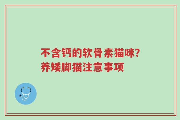 不含钙的软骨素猫咪?养矮脚猫注意事项-第1张图片-超越 不含钙的软骨素猫咪?养矮脚猫注意事项-第1张图片-超越