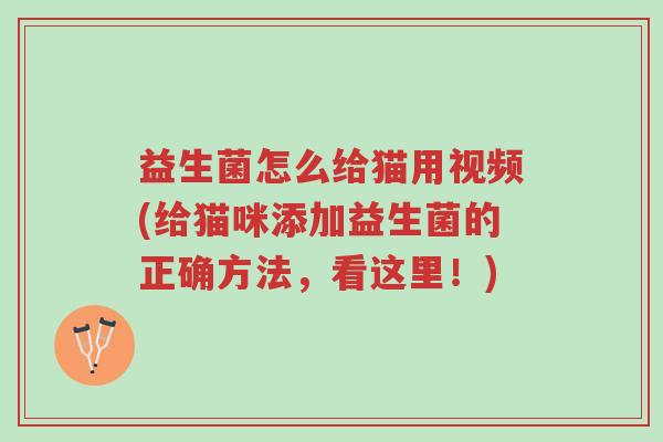 益生菌怎么给猫用视频(给猫咪添加益生菌的正确方法,看这里!)-第1张图片-超越 益生菌怎么给猫用视频(给猫咪添加益生菌的正确方法,看这里!)-第1张图片-超越