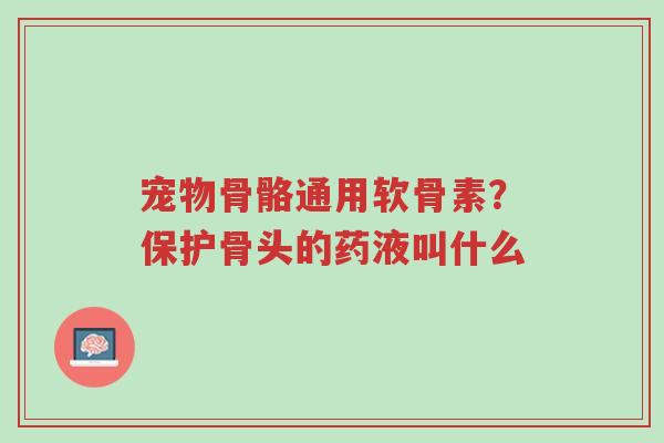宠物骨骼通用软骨素?保护骨头的药液叫什么-第1张图片-超越 宠物骨骼通用软骨素?保护骨头的药液叫什么-第1张图片-超越