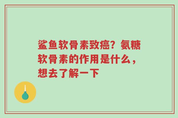 鲨鱼软骨素致癌?氨糖软骨素的作用是什么,想去了解一下-第1张图片-超越 鲨鱼软骨素致癌?氨糖软骨素的作用是什么,想去了解一下-第1张图片-超越