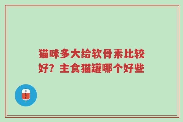 猫咪多大给软骨素比较好?主食猫罐哪个好些-第1张图片-超越 猫咪多大给软骨素比较好?主食猫罐哪个好些-第1张图片-超越