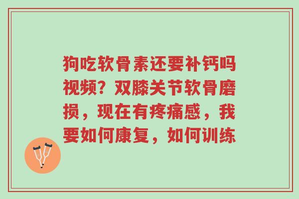 狗吃软骨素还要补钙吗视频?双膝关节软骨磨损,现在有疼痛感,我要如何康复,如何训练-第1张图片-超越 狗吃软骨素还要补钙吗视频?双膝关节软骨磨损,现在有疼痛感,我要如何康复,如何训练-第1张图片-超越