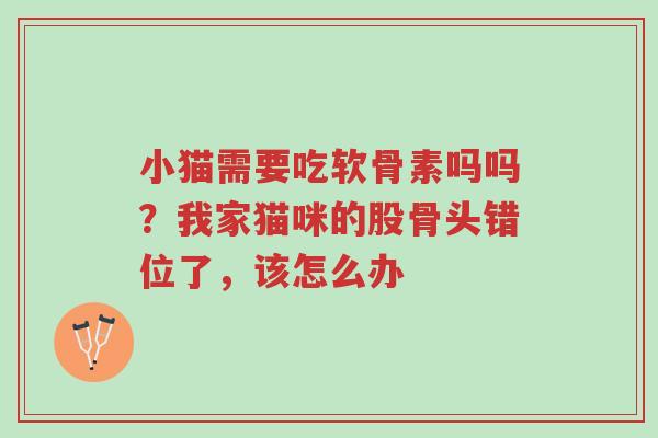 小猫需要吃软骨素吗吗?我家猫咪的股骨头错位了,该怎么办-第1张图片-超越 小猫需要吃软骨素吗吗?我家猫咪的股骨头错位了,该怎么办-第1张图片-超越