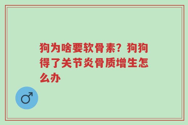 狗为啥要软骨素?狗狗得了关节炎骨质增生怎么办-第1张图片-超越 狗为啥要软骨素?狗狗得了关节炎骨质增生怎么办-第1张图片-超越