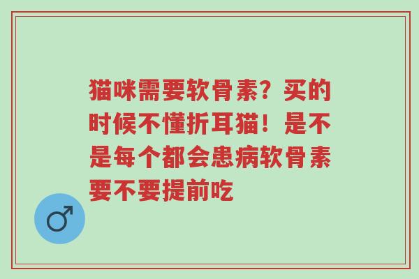 猫咪需要软骨素？买的时候不懂折耳猫！是不是每个都会患病软骨素要不要提前吃-第1张图片-超越