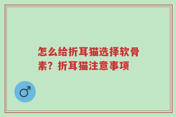 怎么给折耳猫选择软骨素?折耳猫注意事项-第1张图片-超越 怎么给折耳猫选择软骨素?折耳猫注意事项-第1张图片-超越