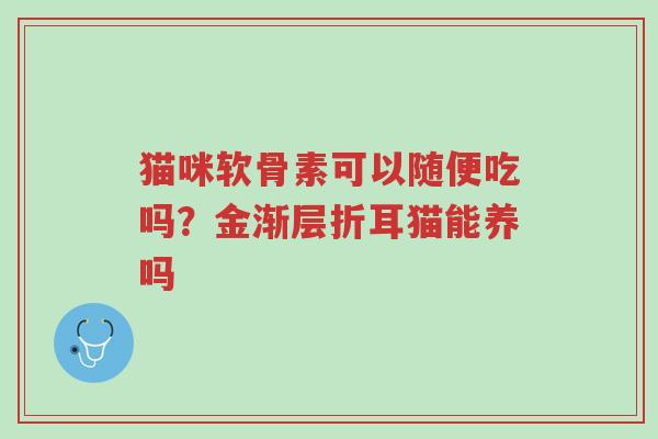 猫咪软骨素可以随便吃吗?金渐层折耳猫能养吗-第1张图片-超越 猫咪软骨素可以随便吃吗?金渐层折耳猫能养吗-第1张图片-超越