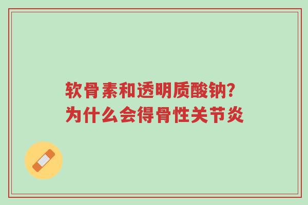 软骨素和透明质酸钠?为什么会得骨性关节炎-第1张图片-超越 软骨素和透明质酸钠?为什么会得骨性关节炎-第1张图片-超越