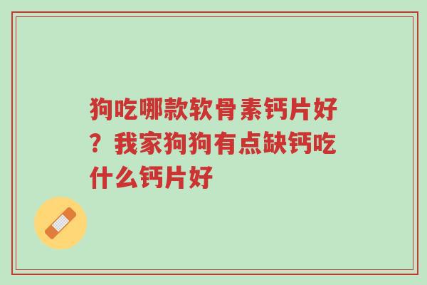 狗吃哪款软骨素钙片好?我家狗狗有点缺钙吃什么钙片好-第1张图片-超越 狗吃哪款软骨素钙片好?我家狗狗有点缺钙吃什么钙片好-第1张图片-超越