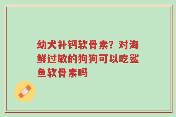 幼犬补钙软骨素?对海鲜过敏的狗狗可以吃鲨鱼软骨素吗-第1张图片-超越 幼犬补钙软骨素?对海鲜过敏的狗狗可以吃鲨鱼软骨素吗-第1张图片-超越
