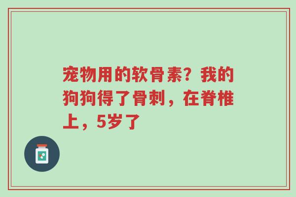 宠物用的软骨素?我的狗狗得了骨刺,在脊椎上,5岁了-第1张图片-超越 宠物用的软骨素?我的狗狗得了骨刺,在脊椎上,5岁了-第1张图片-超越