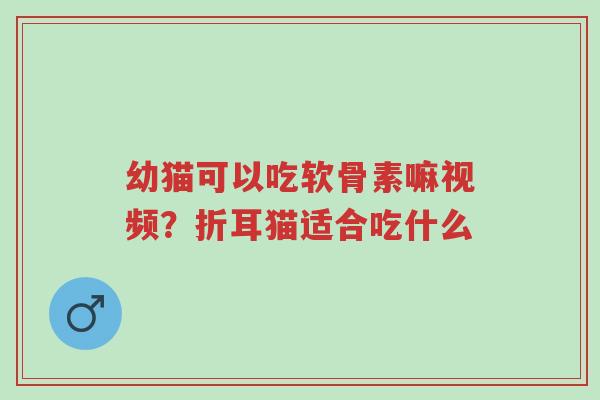 幼猫可以吃软骨素嘛视频?折耳猫适合吃什么-第1张图片-超越 幼猫可以吃软骨素嘛视频?折耳猫适合吃什么-第1张图片-超越