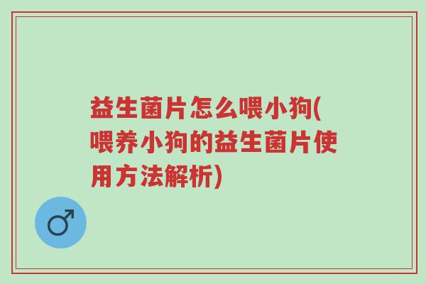 益生菌片怎么喂小狗(喂养小狗的益生菌片使用方法解析)-第1张图片-超越 益生菌片怎么喂小狗(喂养小狗的益生菌片使用方法解析)-第1张图片-超越