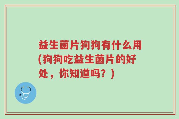 益生菌片狗狗有什么用(狗狗吃益生菌片的好处,你知道吗?)-第1张图片-超越 益生菌片狗狗有什么用(狗狗吃益生菌片的好处,你知道吗?)-第1张图片-超越