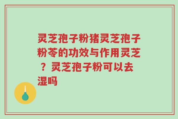 灵芝孢子粉猪灵芝孢子粉苓的功效与作用灵芝 ？灵芝孢子粉可以去湿吗-第1张图片-超越