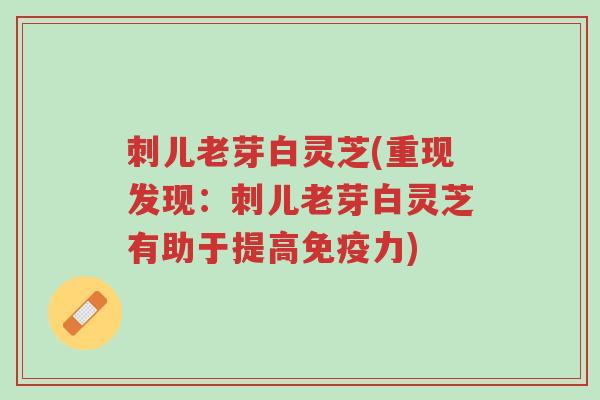刺儿老芽白灵芝(重现发现:刺儿老芽白灵芝有助于提高免疫力)-第1张图片-超越 刺儿老芽白灵芝(重现发现:刺儿老芽白灵芝有助于提高免疫力)-第1张图片-超越