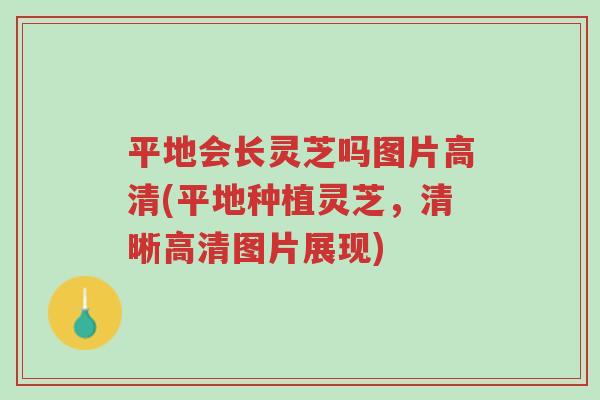 平地会长灵芝吗图片高清(平地种植灵芝,清晰高清图片展现)-第1张图片-超越 平地会长灵芝吗图片高清(平地种植灵芝,清晰高清图片展现)-第1张图片-超越