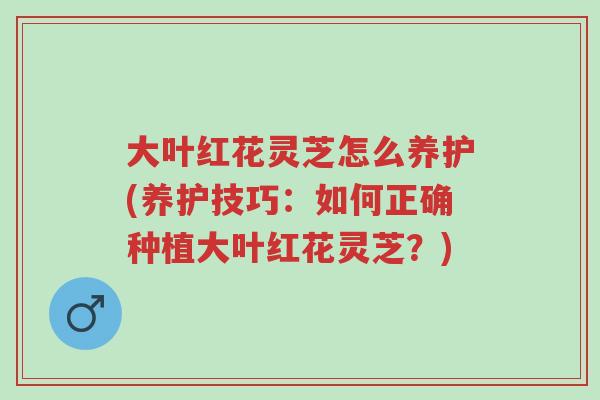 大叶红花灵芝怎么养护(养护技巧:如何正确种植大叶红花灵芝?)-第1张图片-超越 大叶红花灵芝怎么养护(养护技巧:如何正确种植大叶红花灵芝?)-第1张图片-超越