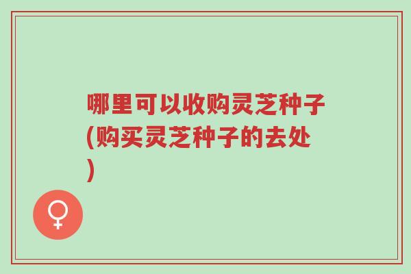 哪里可以收购灵芝种子(购买灵芝种子的去处)-第1张图片-超越