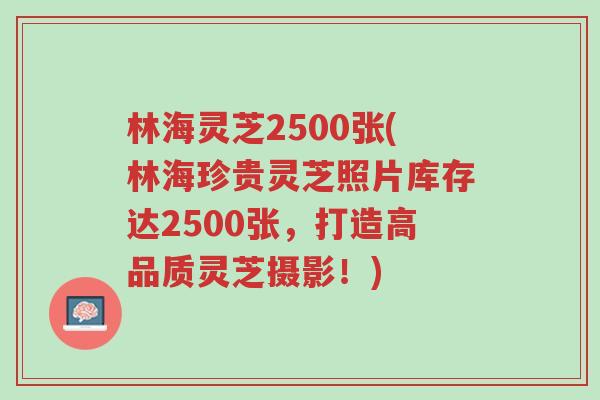 林海灵芝2500张(林海珍贵灵芝照片库存达2500张,打造高品质灵芝摄影!)-第1张图片-超越 林海灵芝2500张(林海珍贵灵芝照片库存达2500张,打造高品质灵芝摄影!)-第1张图片-超越