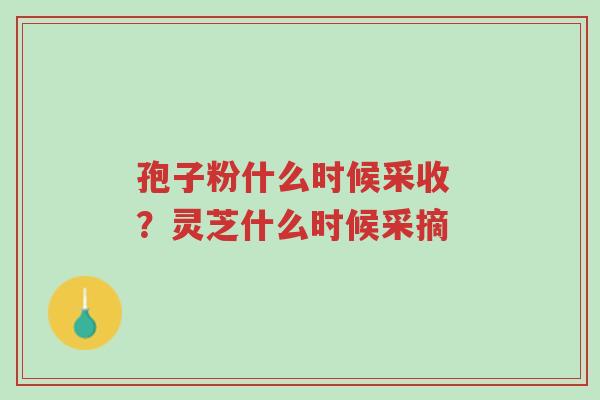 孢子粉什么时候采收 ?灵芝什么时候采摘-第1张图片-超越 孢子粉什么时候采收 ?灵芝什么时候采摘-第1张图片-超越