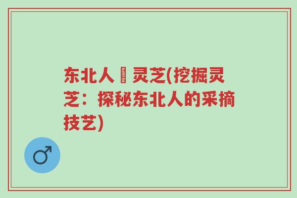 东北人採灵芝(挖掘灵芝:探秘东北人的采摘技艺)-第1张图片-超越 东北人採灵芝(挖掘灵芝:探秘东北人的采摘技艺)-第1张图片-超越