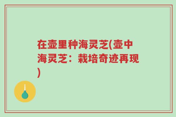 在壶里种海灵芝(壶中海灵芝:栽培奇迹再现)-第1张图片-超越 在壶里种海灵芝(壶中海灵芝:栽培奇迹再现)-第1张图片-超越