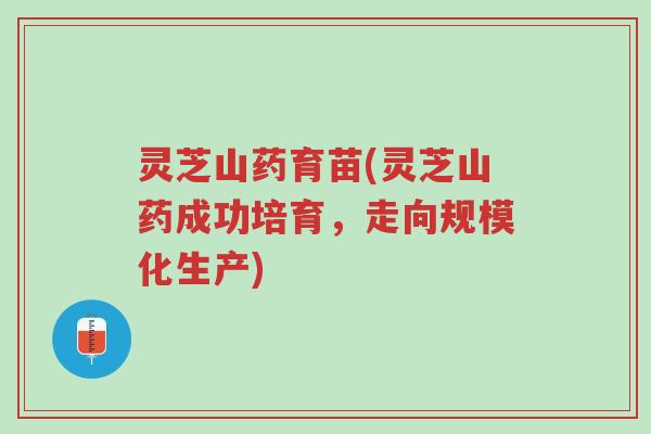灵芝山药育苗(灵芝山药成功培育,走向规模化生产)-第1张图片-超越 灵芝山药育苗(灵芝山药成功培育,走向规模化生产)-第1张图片-超越