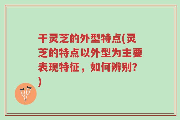 干灵芝的外型特点(灵芝的特点以外型为主要表现特征,如何辨别?)-第1张图片-超越 干灵芝的外型特点(灵芝的特点以外型为主要表现特征,如何辨别?)-第1张图片-超越