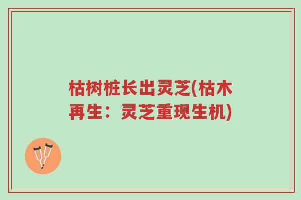 枯树桩长出灵芝(枯木再生：灵芝重现生机)-第1张图片-超越