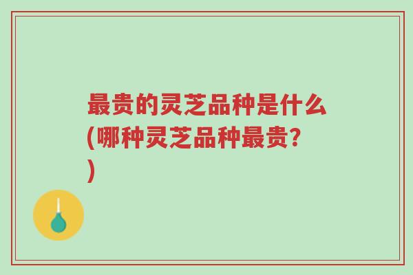 最贵的灵芝品种是什么(哪种灵芝品种最贵?)-第1张图片-超越 最贵的灵芝品种是什么(哪种灵芝品种最贵?)-第1张图片-超越