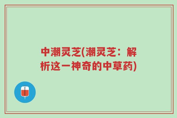 中潮灵芝(潮灵芝:解析这一神奇的中草药)-第1张图片-超越 中潮灵芝(潮灵芝:解析这一神奇的中草药)-第1张图片-超越