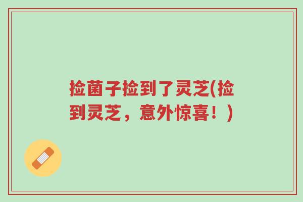 捡菌子捡到了灵芝(捡到灵芝,意外惊喜!)-第1张图片-超越 捡菌子捡到了灵芝(捡到灵芝,意外惊喜!)-第1张图片-超越