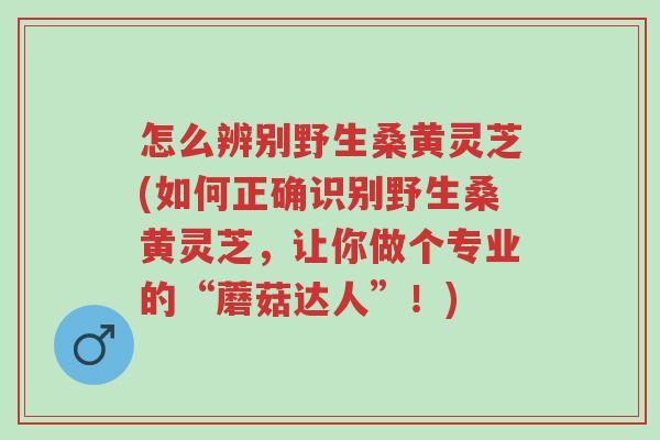 怎么辨别野生桑黄灵芝(如何正确识别野生桑黄灵芝,让你做个专业的“蘑菇达人”!)-第1张图片-超越 怎么辨别野生桑黄灵芝(如何正确识别野生桑黄灵芝,让你做个专业的“蘑菇达人”!)-第1张图片-超越