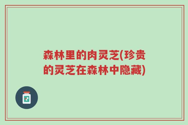 森林里的肉灵芝(珍贵的灵芝在森林中隐藏)-第1张图片-超越 森林里的肉灵芝(珍贵的灵芝在森林中隐藏)-第1张图片-超越