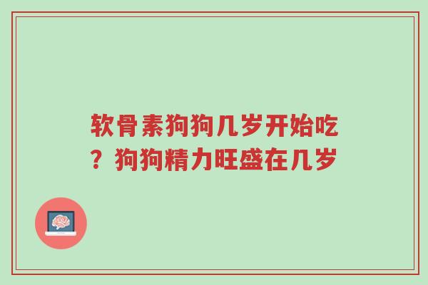 软骨素狗狗几岁开始吃?狗狗精力旺盛在几岁-第1张图片-超越 软骨素狗狗几岁开始吃?狗狗精力旺盛在几岁-第1张图片-超越