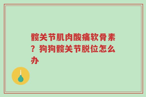 髋关节肌肉酸痛软骨素?狗狗髋关节脱位怎么办-第1张图片-超越 髋关节肌肉酸痛软骨素?狗狗髋关节脱位怎么办-第1张图片-超越