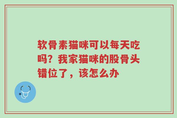 软骨素猫咪可以每天吃吗?我家猫咪的股骨头错位了,该怎么办-第1张图片-超越 软骨素猫咪可以每天吃吗?我家猫咪的股骨头错位了,该怎么办-第1张图片-超越