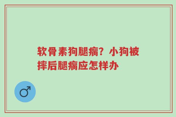 软骨素狗腿瘸?小狗被摔后腿瘸应怎样办-第1张图片-超越 软骨素狗腿瘸?小狗被摔后腿瘸应怎样办-第1张图片-超越