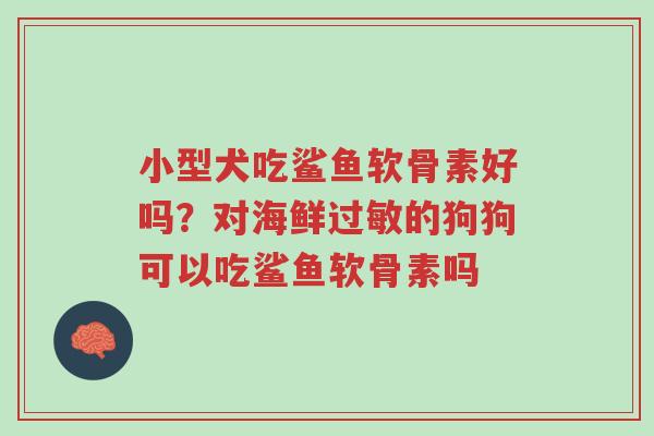 小型犬吃鲨鱼软骨素好吗?对海鲜过敏的狗狗可以吃鲨鱼软骨素吗-第1张图片-超越 小型犬吃鲨鱼软骨素好吗?对海鲜过敏的狗狗可以吃鲨鱼软骨素吗-第1张图片-超越