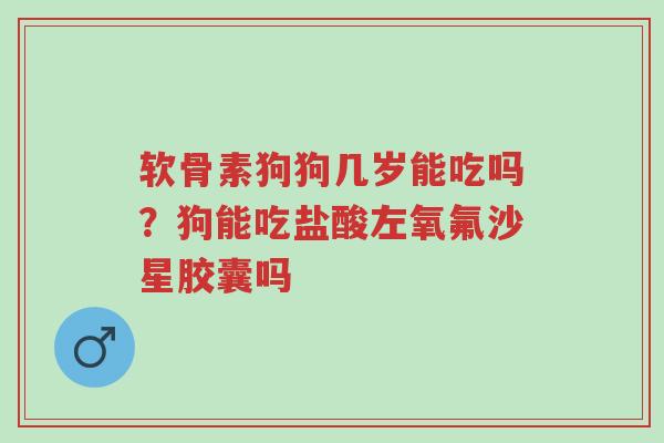 软骨素狗狗几岁能吃吗?狗能吃盐酸左氧氟沙星胶囊吗-第1张图片-超越 软骨素狗狗几岁能吃吗?狗能吃盐酸左氧氟沙星胶囊吗-第1张图片-超越