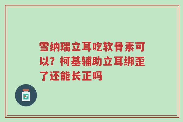 雪纳瑞立耳吃软骨素可以?柯基辅助立耳绑歪了还能长正吗-第1张图片-超越 雪纳瑞立耳吃软骨素可以?柯基辅助立耳绑歪了还能长正吗-第1张图片-超越