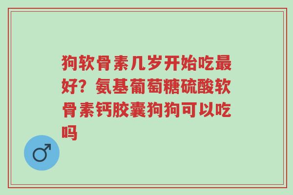 狗软骨素几岁开始吃最好?氨基葡萄糖硫酸软骨素钙胶囊狗狗可以吃吗-第1张图片-超越 狗软骨素几岁开始吃最好?氨基葡萄糖硫酸软骨素钙胶囊狗狗可以吃吗-第1张图片-超越