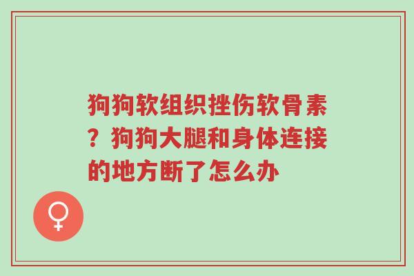 狗狗软组织挫伤软骨素?狗狗大腿和身体连接的地方断了怎么办-第1张图片-超越 狗狗软组织挫伤软骨素?狗狗大腿和身体连接的地方断了怎么办-第1张图片-超越