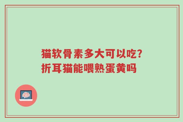 猫软骨素多大可以吃?折耳猫能喂熟蛋黄吗-第1张图片-超越 猫软骨素多大可以吃?折耳猫能喂熟蛋黄吗-第1张图片-超越