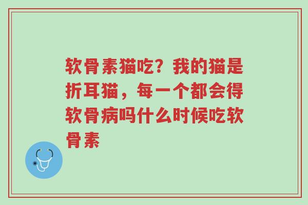 软骨素猫吃?我的猫是折耳猫,每一个都会得软骨病吗什么时候吃软骨素-第1张图片-超越 软骨素猫吃?我的猫是折耳猫,每一个都会得软骨病吗什么时候吃软骨素-第1张图片-超越