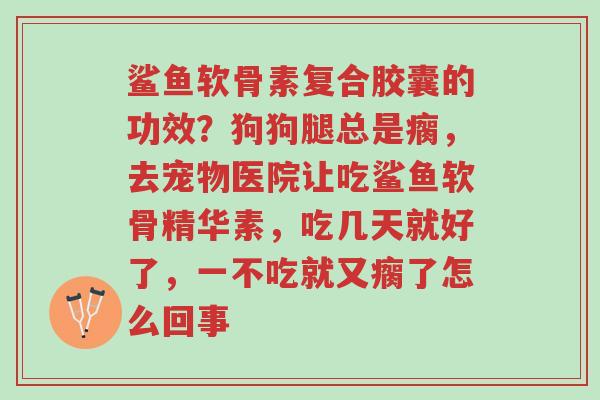 鲨鱼软骨素复合胶囊的功效?狗狗腿总是瘸,去宠物医院让吃鲨鱼软骨精华素,吃几天就好了,一不吃就又瘸了怎么回事-第1张图片-超越 鲨鱼软骨素复合胶囊的功效?狗狗腿总是瘸,去宠物医院让吃鲨鱼软骨精华素,吃几天就好了,一不吃就又瘸了怎么回事-第1张图片-超越