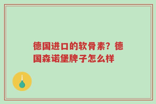 德国进口的软骨素?德国森诺堡牌子怎么样-第1张图片-超越 德国进口的软骨素?德国森诺堡牌子怎么样-第1张图片-超越
