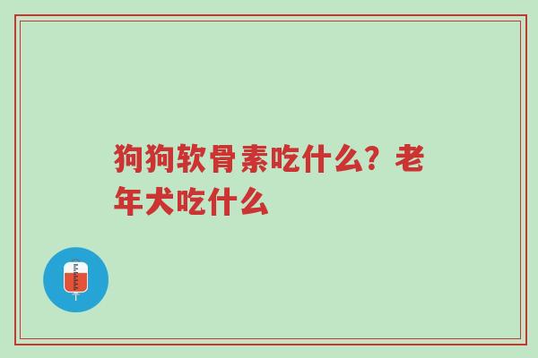 狗狗软骨素吃什么?老年犬吃什么-第1张图片-超越 狗狗软骨素吃什么?老年犬吃什么-第1张图片-超越